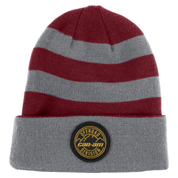 Шапка унисекс REVERSIBLE BEANIE UNISEX O/S BRP (разноцветный) — изображение 3