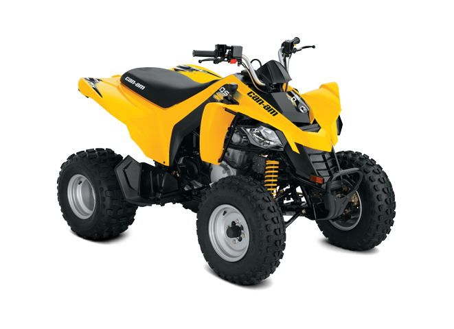 ds-250-2018 DS 250 — изображение 1