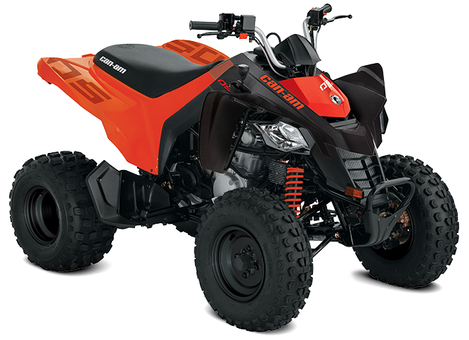 my20_ds-250-can-am-red_34fr DS 250 — изображение 1