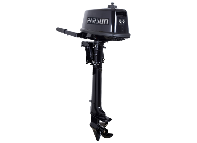t5_8_1 Parsun T5.8BMS-12L — изображение 1